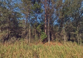 40TH STREET, OCALA, Florida 34481, ,Land,For Sale,40TH,O5987095