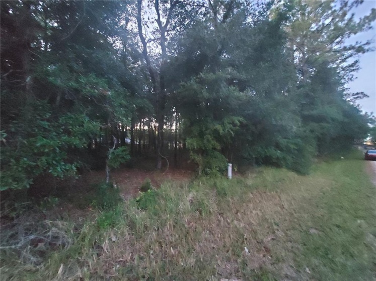 TBD 61ST AVENUE, OCALA, Florida 34482, ,Land,For Sale,61ST,OM630552