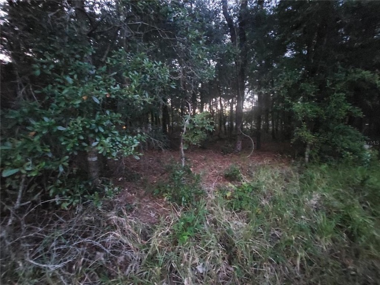 TBD 61ST AVENUE, OCALA, Florida 34482, ,Land,For Sale,61ST,OM630552