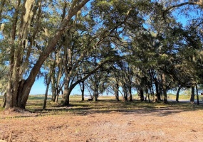 1100 ELOISE LOOP ROAD, WINTER HAVEN, Florida 33884, ,Land,For Sale,ELOISE LOOP,P4918396