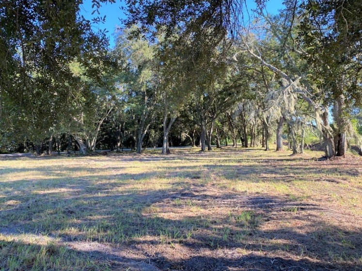 1100 ELOISE LOOP ROAD, WINTER HAVEN, Florida 33884, ,Land,For Sale,ELOISE LOOP,P4918396
