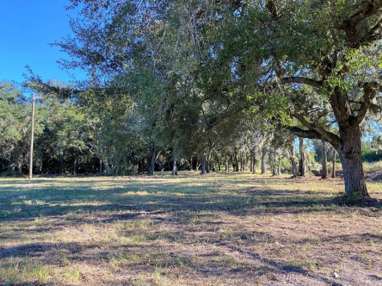 1100 ELOISE LOOP ROAD, WINTER HAVEN, Florida 33884, ,Land,For Sale,ELOISE LOOP,P4918396