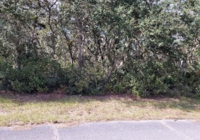 1244 CARIBBEAN DRIVE, POINCIANA, Florida 34759, ,Land,For Sale,CARIBBEAN,T3342861