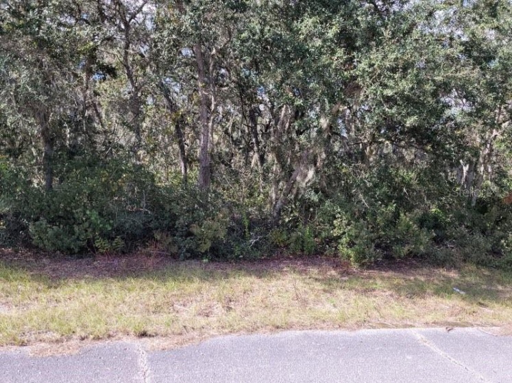 1244 CARIBBEAN DRIVE, POINCIANA, Florida 34759, ,Land,For Sale,CARIBBEAN,T3342861