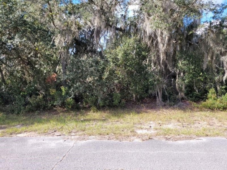 1244 CARIBBEAN DRIVE, POINCIANA, Florida 34759, ,Land,For Sale,CARIBBEAN,T3342861