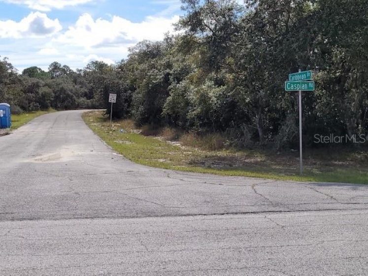 1244 CARIBBEAN DRIVE, POINCIANA, Florida 34759, ,Land,For Sale,CARIBBEAN,T3342861