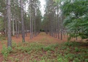 ANGELS LANDING COURT, CLERMONT, Florida 34715, ,Land,For Sale,ANGELS LANDING,S5059613