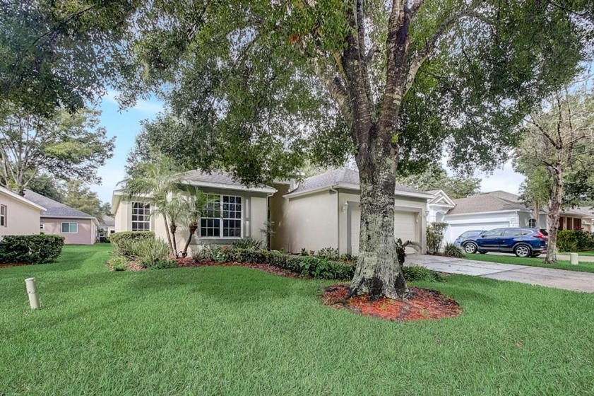 4142 KINGSLEY STREET, CLERMONT, Florida 34711, 2 Bedrooms Bedrooms, ,2 BathroomsBathrooms,Residential,For Sale,KINGSLEY,O5984904