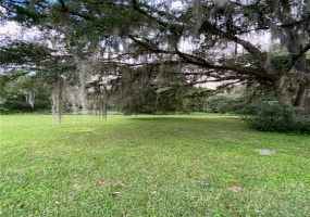 860 LISA LANE, APOPKA, Florida 32703, ,Land,For Sale,LISA,O5975393