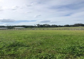 12108 N MAGNOLIA AVE, OCALA, Florida 34475, ,Land,For Sale,12108 N MAGNOLIA AVE,OM609169