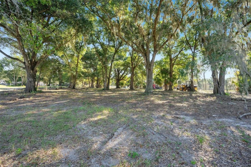 1206 SUTTER AVENUE, GOTHA, Florida 34734, ,Land,For Sale,SUTTER,O5988894