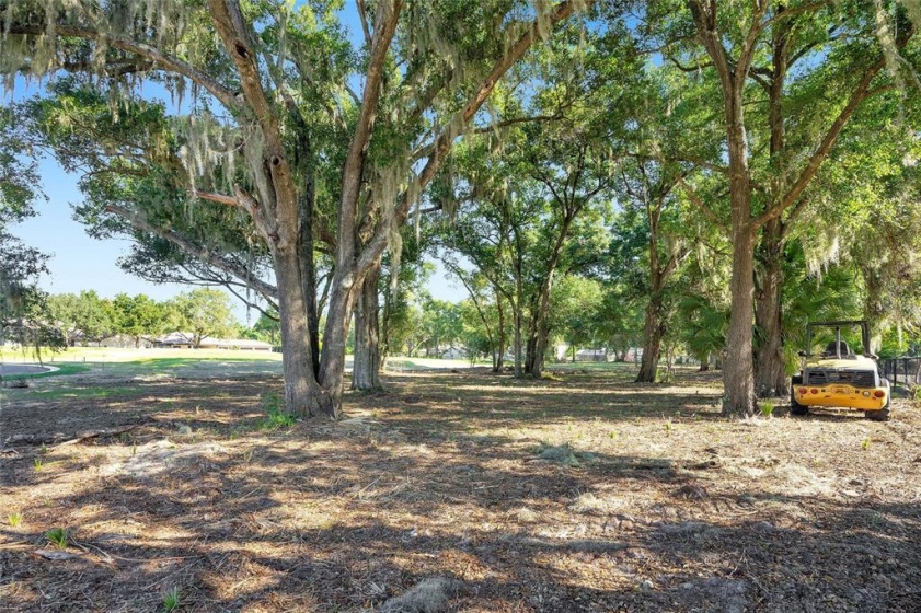 1206 SUTTER AVENUE, GOTHA, Florida 34734, ,Land,For Sale,SUTTER,O5988894