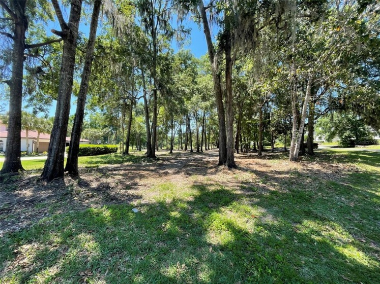 902 69 PLACE, OCALA, Florida 34480, ,Land,For Sale,69,OM630983