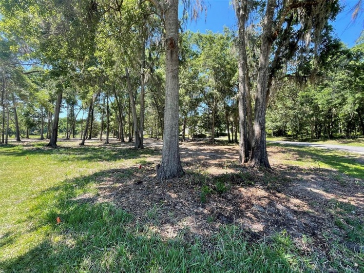902 69 PLACE, OCALA, Florida 34480, ,Land,For Sale,69,OM630983