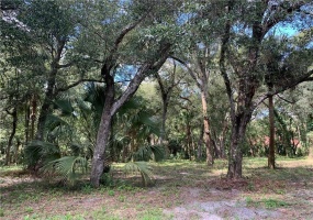 6B MARKHAM WOODS ROAD, LONGWOOD, Florida 32779, ,Land,For Sale,MARKHAM WOODS,O5931658