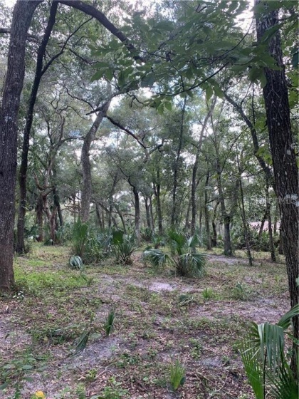 6B MARKHAM WOODS ROAD, LONGWOOD, Florida 32779, ,Land,For Sale,MARKHAM WOODS,O5931658