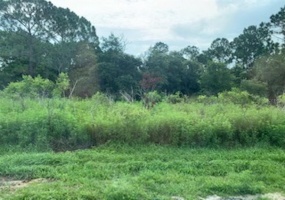 MEDITERRANEAN COURT, KISSIMMEE, Florida 34758, ,Land,For Sale,MEDITERRANEAN,O5847076