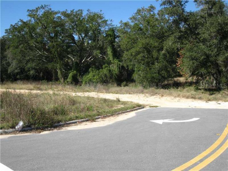 13119 HOOK STREET, CLERMONT, Florida 34711, ,Land,For Sale,HOOK,G4810580