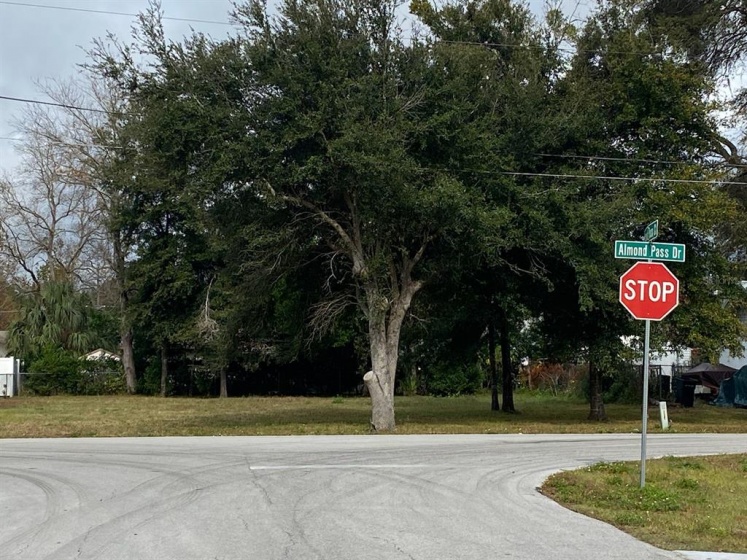 0 ALMOND PASS DRIVE, OCALA, Florida 34472, ,Land,For Sale,0 ALMOND PASS DRIVE,OM631202