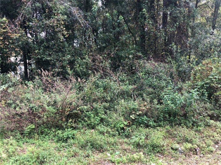 67TH TERRACE, OCALA, Florida 34482, ,Land,For Sale,67TH,OM631210