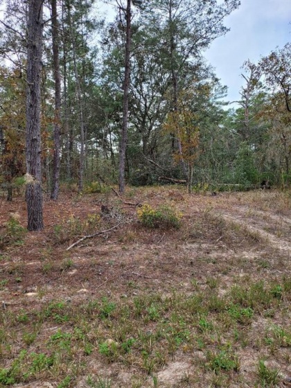 SW 43RD CIR., OCALA, Florida 34473, ,Land,For Sale,SW 43RD CIR.,OM631224