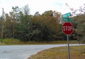 000 WATER ROAD, OCALA, Florida 34472, ,Land,For Sale,WATER,OM630800