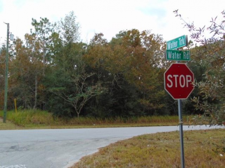 000 WATER ROAD, OCALA, Florida 34472, ,Land,For Sale,WATER,OM630800