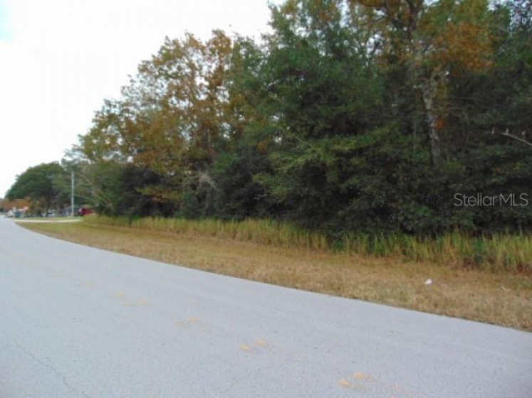 000 WATER ROAD, OCALA, Florida 34472, ,Land,For Sale,WATER,OM630800