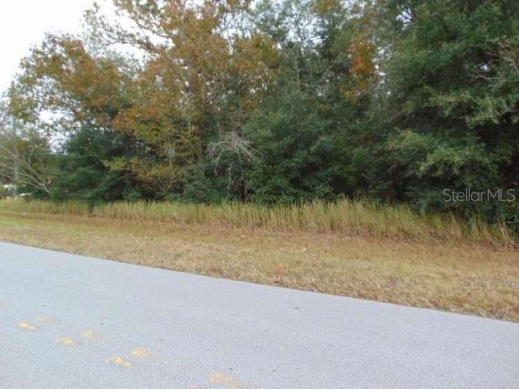 000 WATER ROAD, OCALA, Florida 34472, ,Land,For Sale,WATER,OM630800