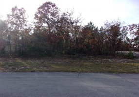 139TH LANE ROAD, OCALA, Florida 34473, ,Land,For Sale,139TH LANE,OM631300