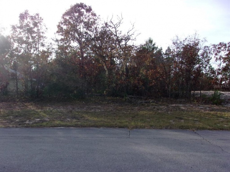 139TH LANE ROAD, OCALA, Florida 34473, ,Land,For Sale,139TH LANE,OM631300