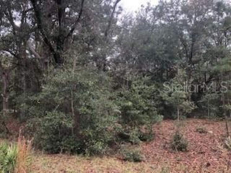 TBD 151ST TERRACE, OCALA, Florida 34481, ,Land,For Sale,151ST,OM631299