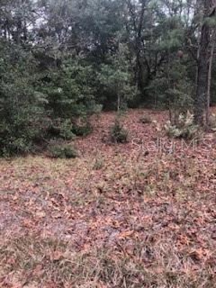 TBD 151ST TERRACE, OCALA, Florida 34481, ,Land,For Sale,151ST,OM631299