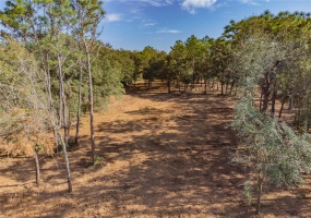 WOODRIDGE DRIVE, POLK CITY, Florida 33868, ,Land,For Sale,WOODRIDGE,T3344776