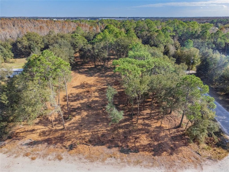 WOODRIDGE DRIVE, POLK CITY, Florida 33868, ,Land,For Sale,WOODRIDGE,T3344776