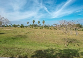 MARIGOLD STREET, GROVELAND, Florida 34736, ,Land,For Sale,MARIGOLD,O5990792
