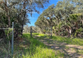 0 SAND DOLLAR STREET, LAKE WALES, Florida 33859, ,Land,For Sale,SAND DOLLAR,L4926992