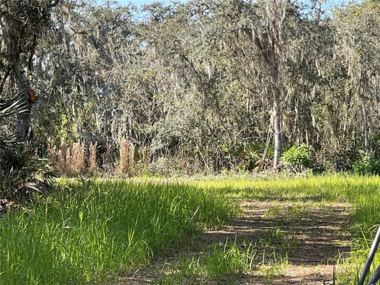 0 SAND DOLLAR STREET, LAKE WALES, Florida 33859, ,Land,For Sale,SAND DOLLAR,L4926992