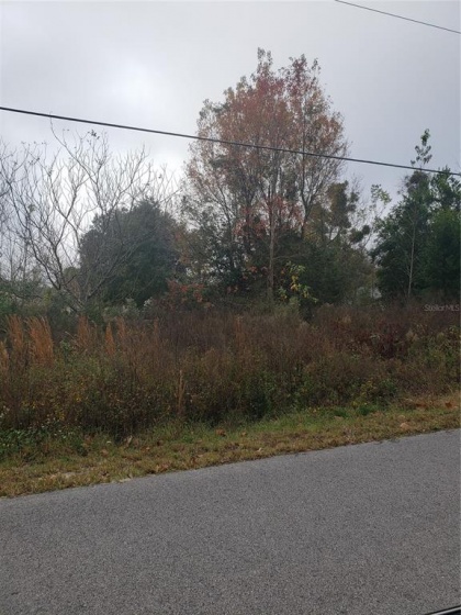3RD PLACE, OCALA, Florida 34482, ,Land,For Sale,3RD,OM631371