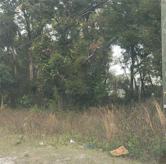 52ND AVENUE, OCALA, Florida 34482, ,Land,For Sale,52ND,OM631375