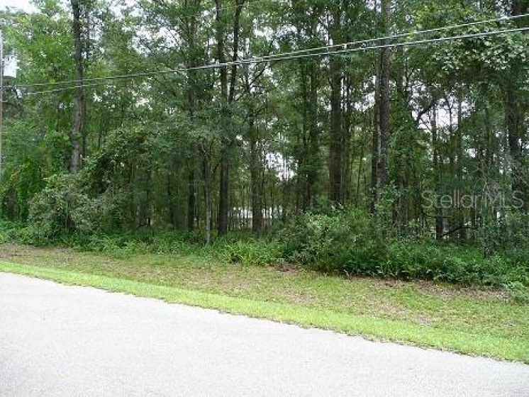 TBD 61ST COURT, OCALA, Florida 34482, ,Land,For Sale,61ST,OM631519
