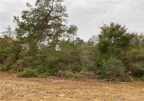 TBD 35 TERR, OCALA, Florida 34473, ,Land,For Sale,35 TERR,OM612912