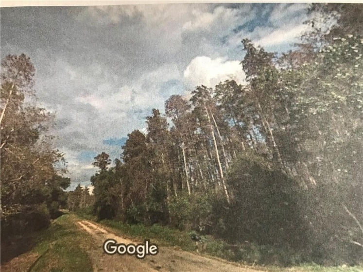 RAMBLER AVE, SAINT CLOUD, Florida 34772, ,Land,For Sale,RAMBLER AVE,O5866143