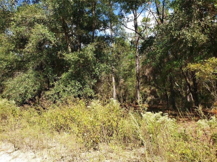 Lot 170 57TH AVENUE, OCALA, Florida 34482, ,Land,For Sale,57TH,O5992762