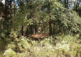 Lot 173 57TH AVENUE, OCALA, Florida 34482, ,Land,For Sale,57TH,O5992769