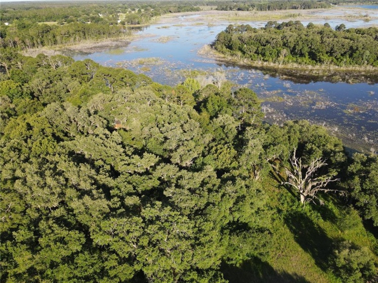 0 LOCUST RUN, OCALA, Florida 34472, ,Land,For Sale,LOCUST,OM631763