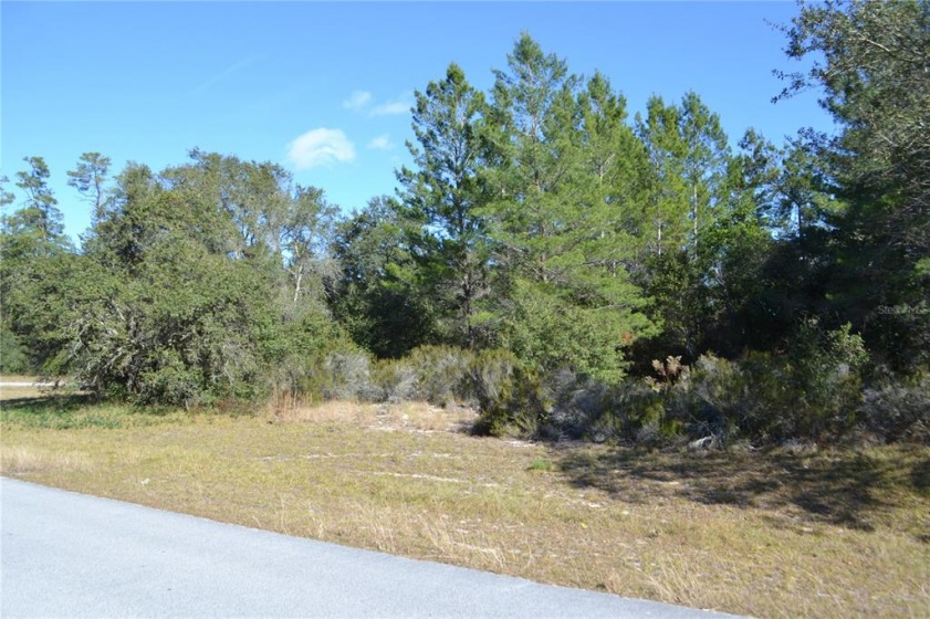 0 25TH CIRCLE, OCALA, Florida 34473, ,Land,For Sale,25TH,OM631877