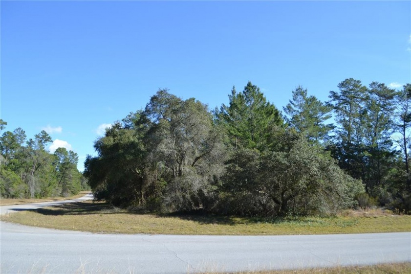 0 25TH CIRCLE, OCALA, Florida 34473, ,Land,For Sale,25TH,OM631877