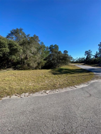 0 25TH CIRCLE, OCALA, Florida 34473, ,Land,For Sale,25TH,OM631877