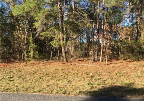 0 SW 157TH STREET, OCALA, Florida 34473, ,Land,For Sale,0 SW 157TH,OM631884